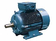 Non-Ex&nbsp;Chemstar 电机