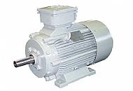 Ex&nbsp;e&nbsp;Chemstar&nbsp;电机