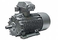 Ex&nbsp;d(e)&nbsp;工业电机